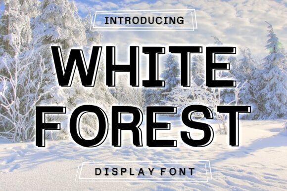 White Forest: A Bold Display Font That Elevates Your Brand